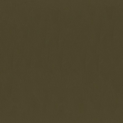 Abbeyshea Fabrics Challenger 805 Bark