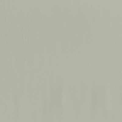 Abbeyshea Fabrics Challenger 902 Seagull