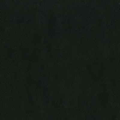 Abbeyshea Fabrics Challenger 909 Raven