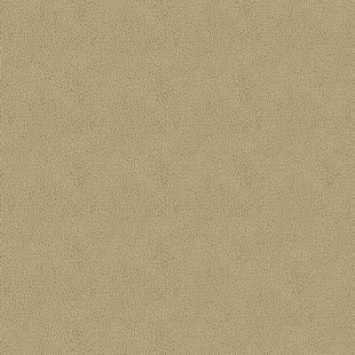 Abbeyshea Fabrics Claro 6003 Beige
