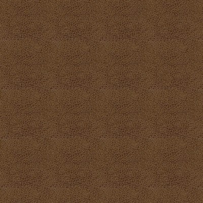 Abbeyshea Fabrics Claro 8009 Amber