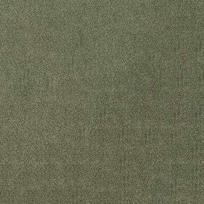 Abbeyshea Fabrics Comrade 24 Alpine 