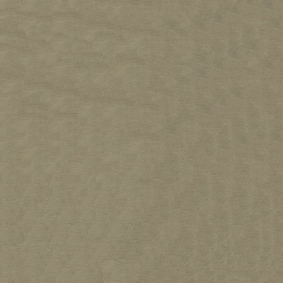 Abbeyshea Fabrics Endurepel Intrigue 608 Stucco