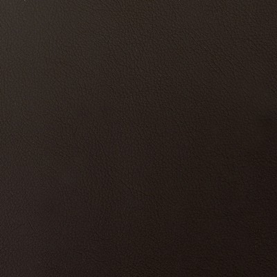 Abbeyshea Fabrics Envision 005 Bittersweet