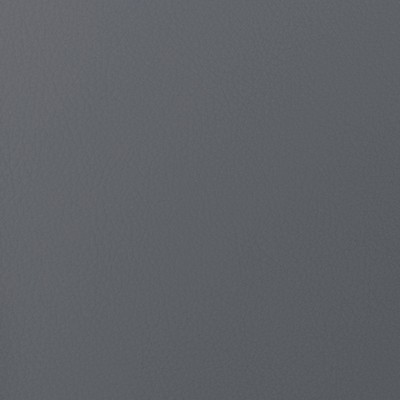 Abbeyshea Fabrics Envision 006 Burro