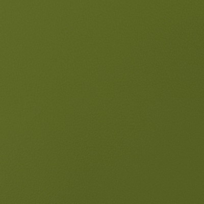 Abbeyshea Fabrics Envision 016 Kiwi