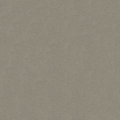 Abbeyshea Fabrics Exuberance 9006 Pewter