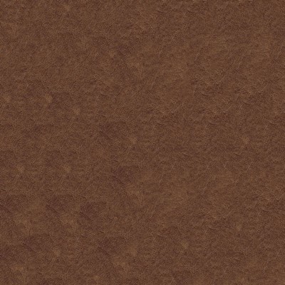 Abbeyshea Fabrics Gaucho 888 Desert Sand