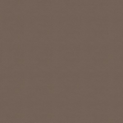 Abbeyshea Fabrics G-Grain 7221 Med. Parchment