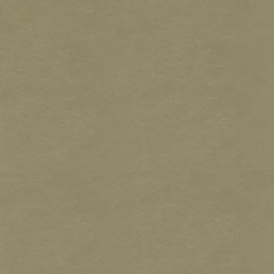 Abbeyshea Fabrics Gilded 6006 Mushroom