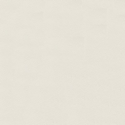 Abbeyshea Fabrics Grand Prix 9450 Snow White