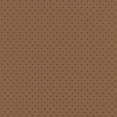 Abbeyshea Fabrics Enduratex Hampton Perforated 6962 Saddle
