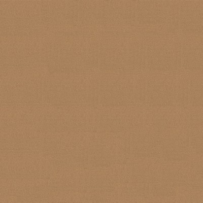 Abbeyshea Fabrics Headliner Sunbrellaite  1755 Fawn