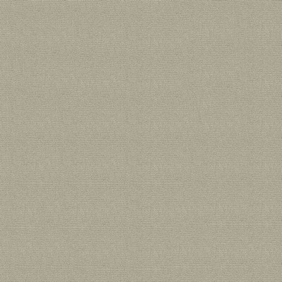 Abbeyshea Fabrics Headliner Sunbrellaite  1784 Sand Grey