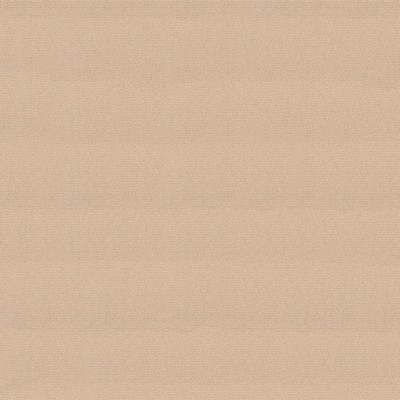 Abbeyshea Fabrics Headliner Sunbrellaite  1926 Bisque