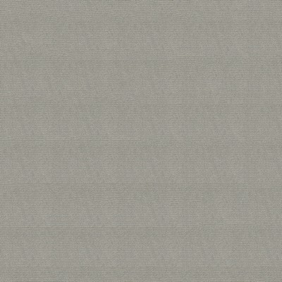 Abbeyshea Fabrics Headliner Sunbrellaite  2006 Light Grey