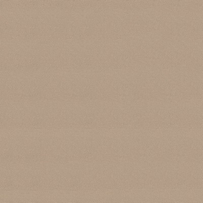 Abbeyshea Fabrics Headliner Sunbrellaite  2013 Light Driftwood