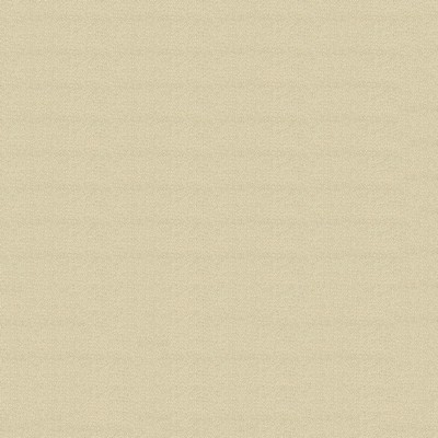 Abbeyshea Fabrics Headliner Sunbrellaite  2117 Cypress