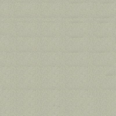 Abbeyshea Fabrics Headliner Sunbrellaite  2126 Natural Beige