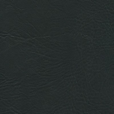 Abbeyshea Fabrics Enduratex Heidi 9840 Black