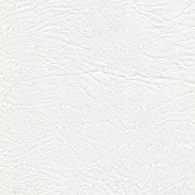 Abbeyshea Fabrics Enduratex Heidi 9917 Snow White