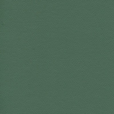 Abbeyshea Fabrics Enduratex Independence 8402 Vizcaya Palm