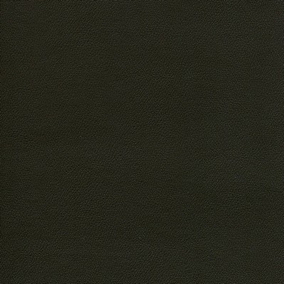 Abbeyshea Fabrics Enduratex Independence 8405 Espresso