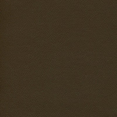 Abbeyshea Fabrics Enduratex Independence 8406 Mocha