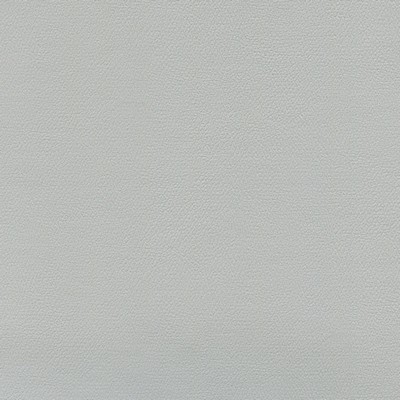 Abbeyshea Fabrics Enduratex Independence 8408 Platinum