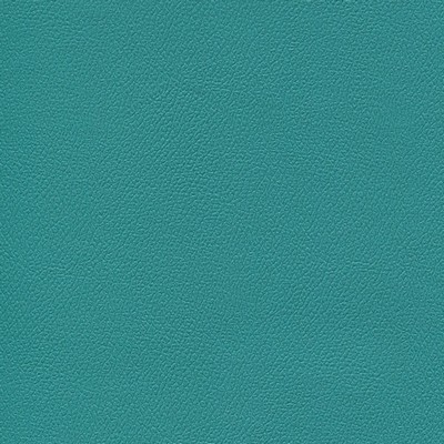 Abbeyshea Fabrics Enduratex Independence 8411 Turquoise