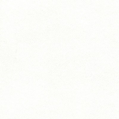 Abbeyshea Fabrics Enduratex Independence 8413 Snow White