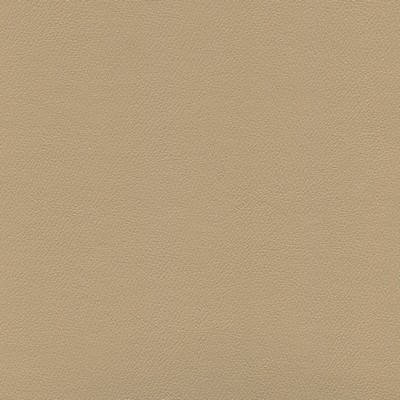 Abbeyshea Fabrics Enduratex Independence 8414 Coffee Cream