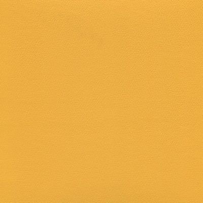 Abbeyshea Fabrics Enduratex Independence 8421 Sunflower