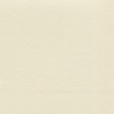 Abbeyshea Fabrics Enduratex Independence 8501 Adobe