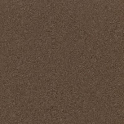Abbeyshea Fabrics Enduratex Independence 8516 Chestnut