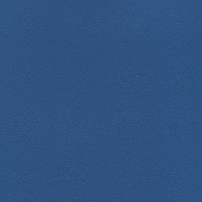 Abbeyshea Fabrics Enduratex Independence 8542 Royal Blue
