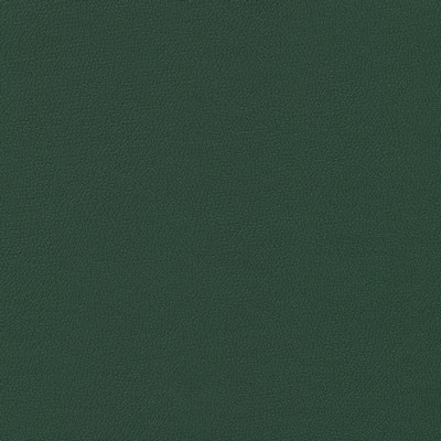 Abbeyshea Fabrics Enduratex Independence 8553 Yew Green