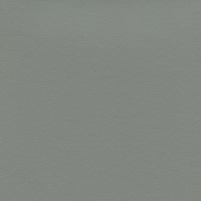 Abbeyshea Fabrics Enduratex Independence 8567 Dove