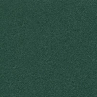 Abbeyshea Fabrics Enduratex Independence 8571 Forest