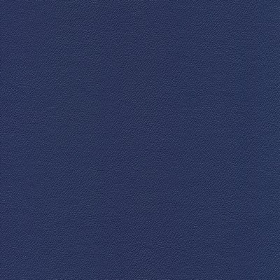 Abbeyshea Fabrics Enduratex Independence 8576 Deep Phoenician