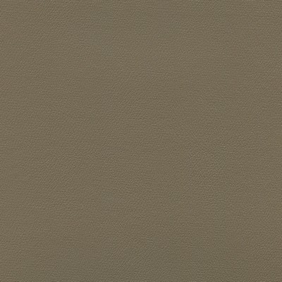 Abbeyshea Fabrics Enduratex Independence 8584 Taupe