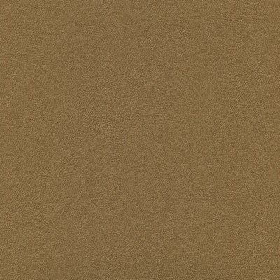 Abbeyshea Fabrics Enduratex Independence 8605 Brown Sugar