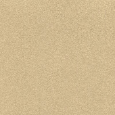 Abbeyshea Fabrics Enduratex Independence 8606 Camel