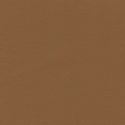 Abbeyshea Fabrics Enduratex Independence 8608 Cinnamon