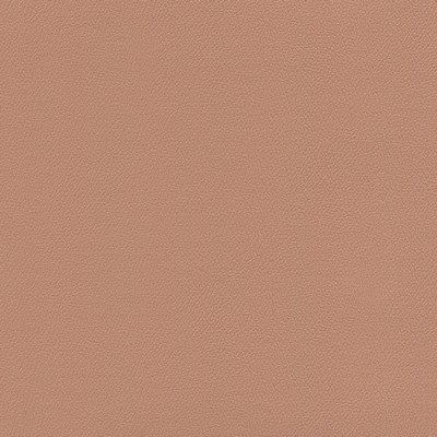 Abbeyshea Fabrics Enduratex Independence 8609 Clay