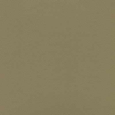 Abbeyshea Fabrics Enduratex Independence 8617 French Brown