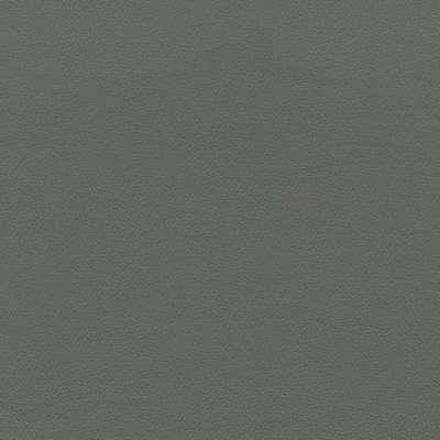 Abbeyshea Fabrics Enduratex Independence 8619 Gunmetal