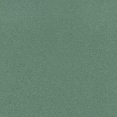 Abbeyshea Fabrics Enduratex Independence 8620 Jade