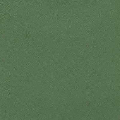 Abbeyshea Fabrics Enduratex Independence 8622 Loden