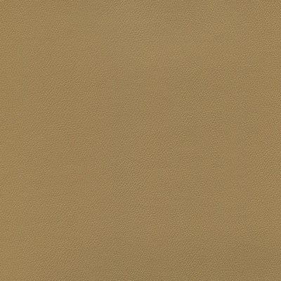 Abbeyshea Fabrics Enduratex Independence 8624 Light Maple